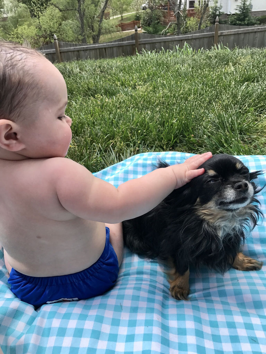 Everyday Uses for the Beach Blanket Smart Bottoms