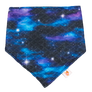 Bandana Bibs (Final Sale)