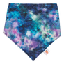 Bandana Bibs (Final Sale)