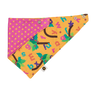 Bandana Bibs (Final Sale)