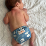 Sale - Born Smart 2.0