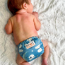 Cloth Diaper Rental - $60/month
