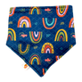 Bandana Bibs (Final Sale)