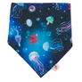 Bandana Bibs (Final Sale)