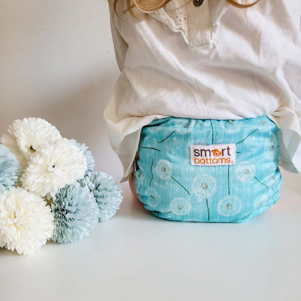 Smart Bottoms' Dream Diaper 2.0 Cloth Diaper Blown Away