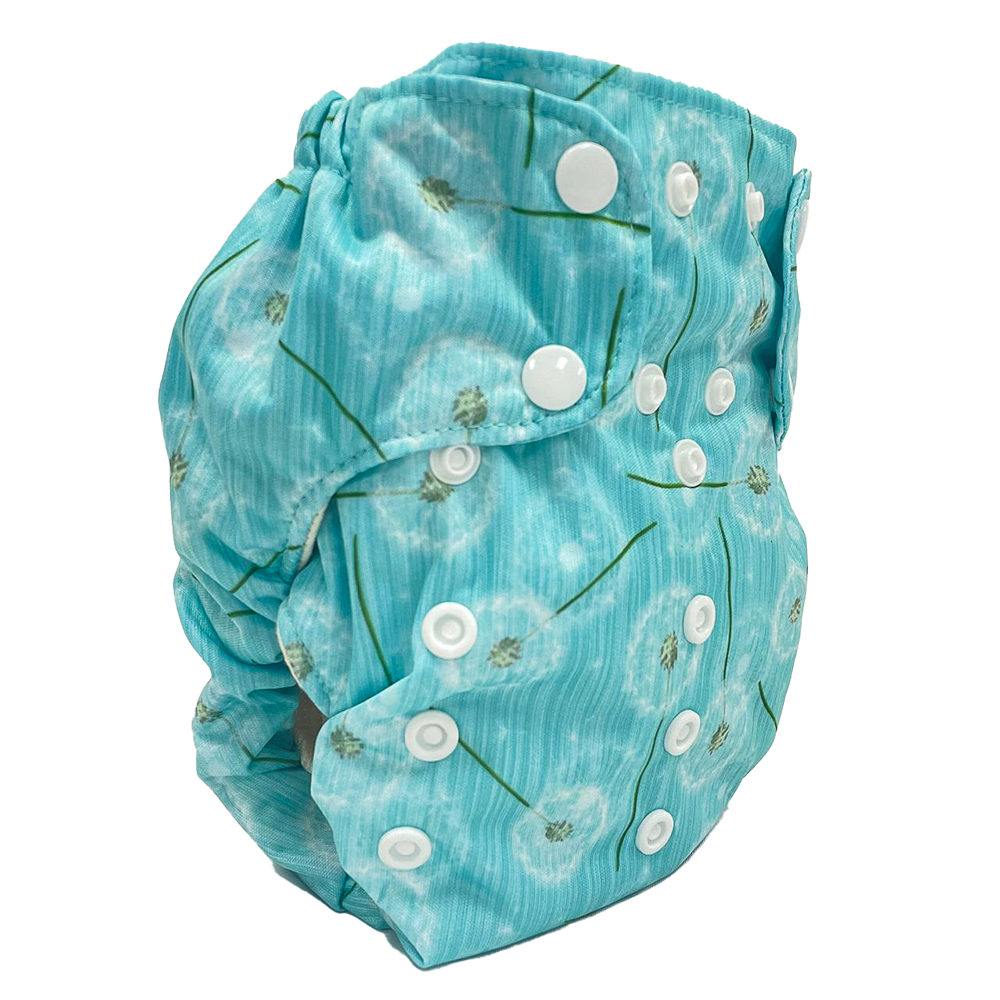 Smart Bottoms' Dream Diaper 2.0 Cloth Diaper Blown Away