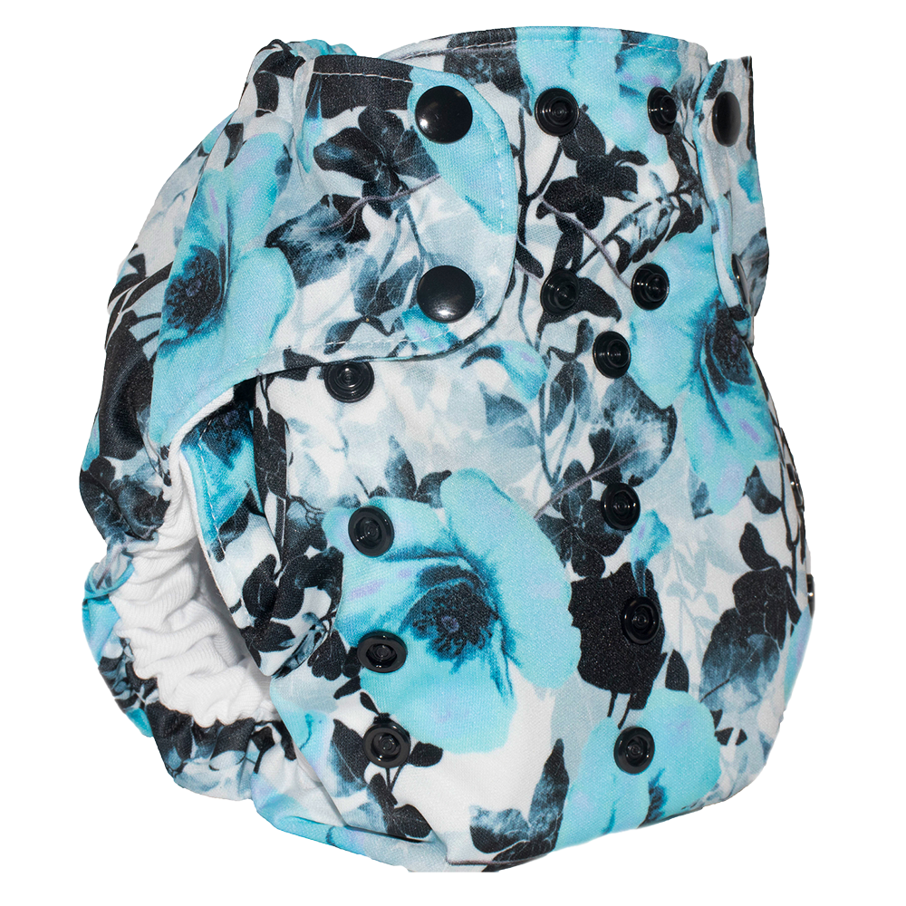 Smart Bottoms' Dream Diaper 2.0 Cloth Diaper Regal