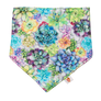 Bandana Bibs (Final Sale)