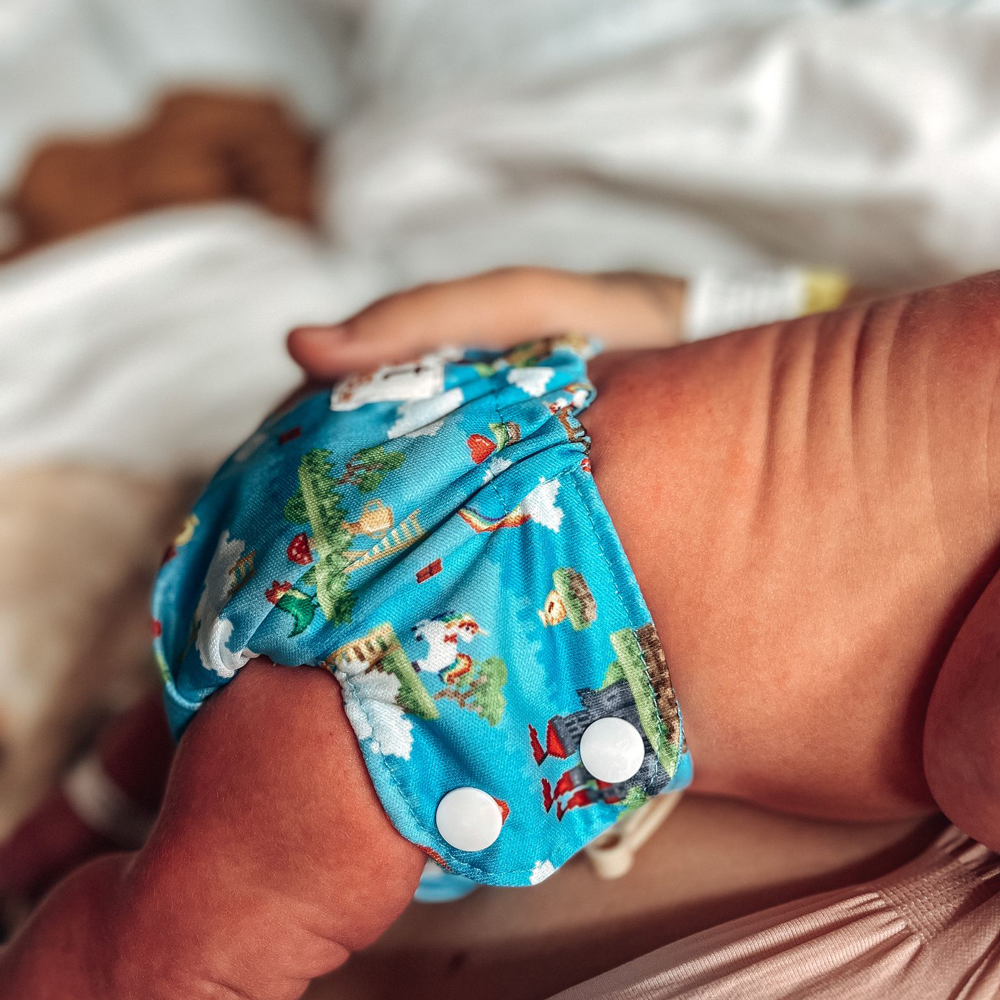 CLEARANCE: Smart Bottoms Born Smart 2.0 Newborn Cloth Diaper