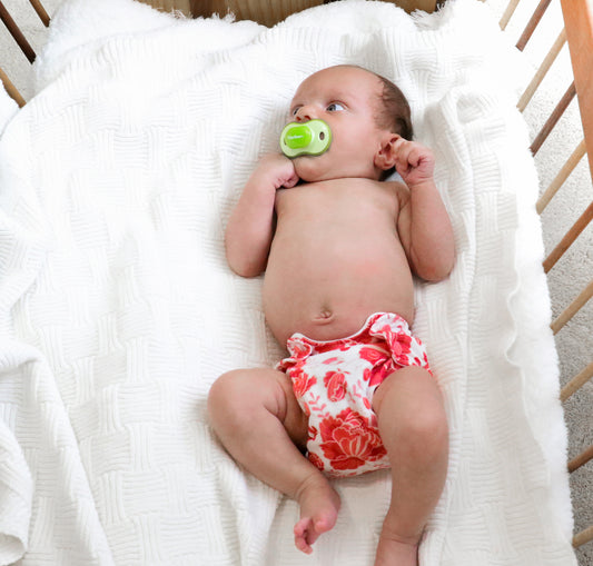 Smart Bottoms Born Smart Newborn Cloth Diaper