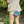 Pull-On Diaper - Hazel