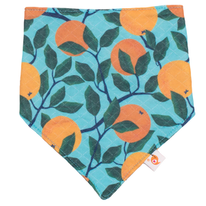 Bandana Bibs (Final Sale)