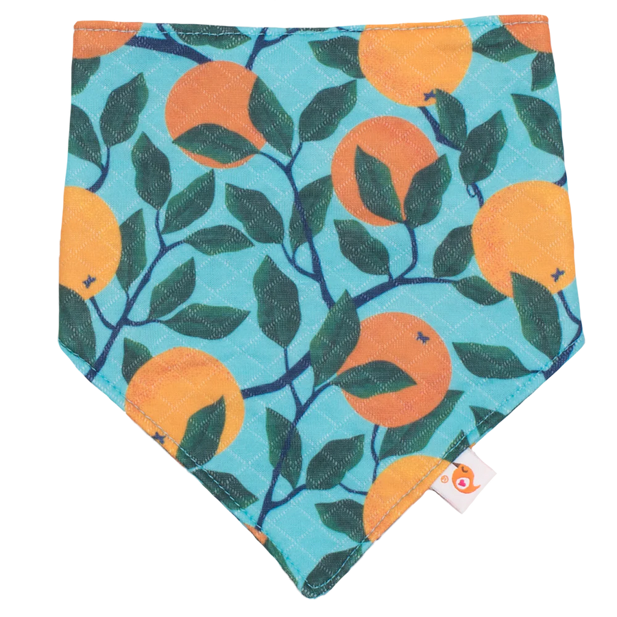 Bandana Bibs (Final Sale)