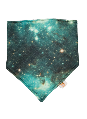 SECONDS- Bandana Bib