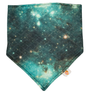 SECONDS- Bandana Bib