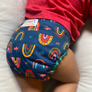 Cloth Diaper Rental - $60/month