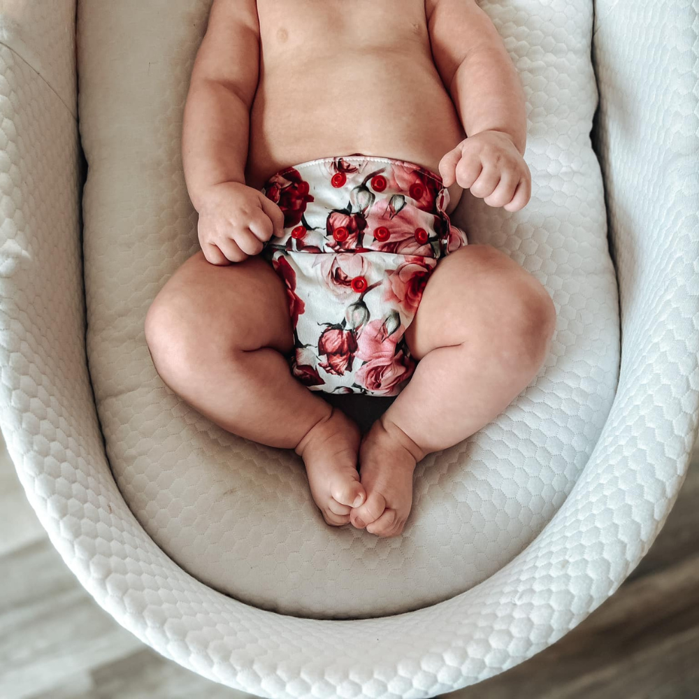 Cloth Diaper Rental - $60/month