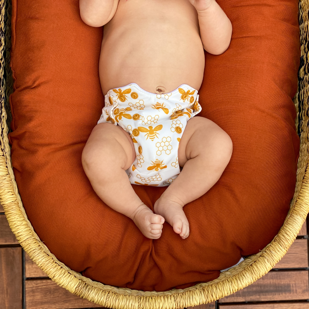 Cloth Diaper Rental - $60/month
