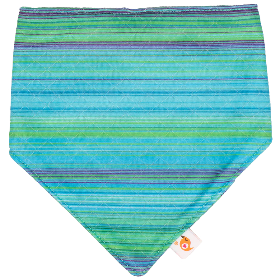 Bandana Bibs (Final Sale)