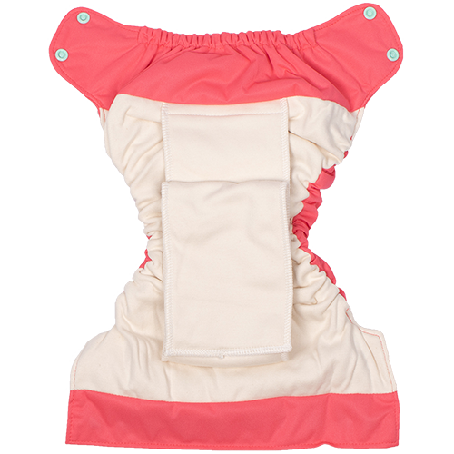 Smart bottoms diapers 2025