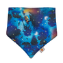 SECONDS- Bandana Bib