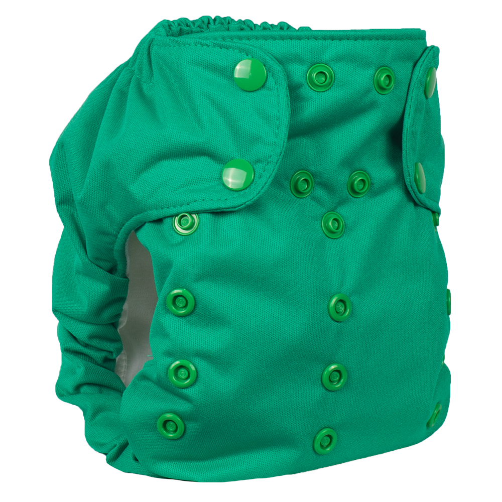 Smart Bottoms' Dream Diaper 2.0 Cloth Diaper Green Primary