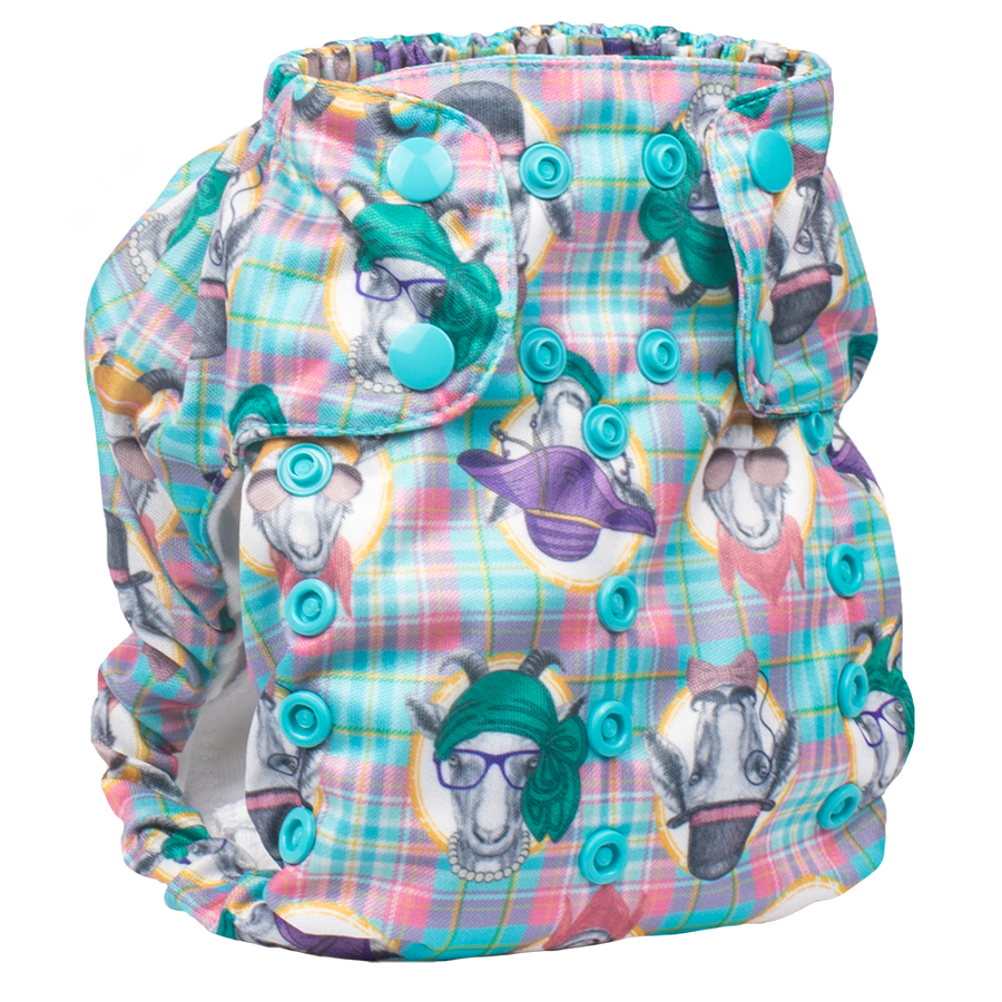 Smart bottoms dream 2025