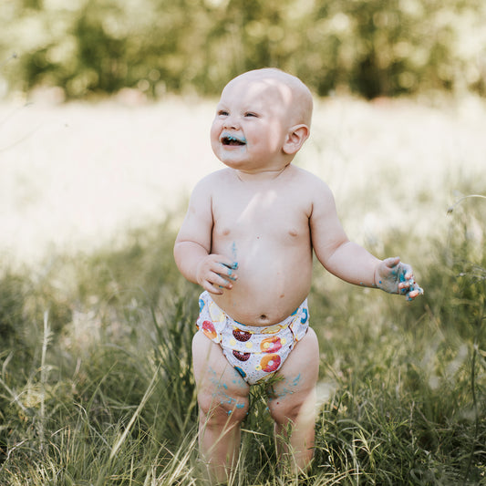 Smart Bottoms - Dream Diaper 2.0 cloth diaper - Sprinkles -  Donut cloth diaper  - organic cotton cloth diaper